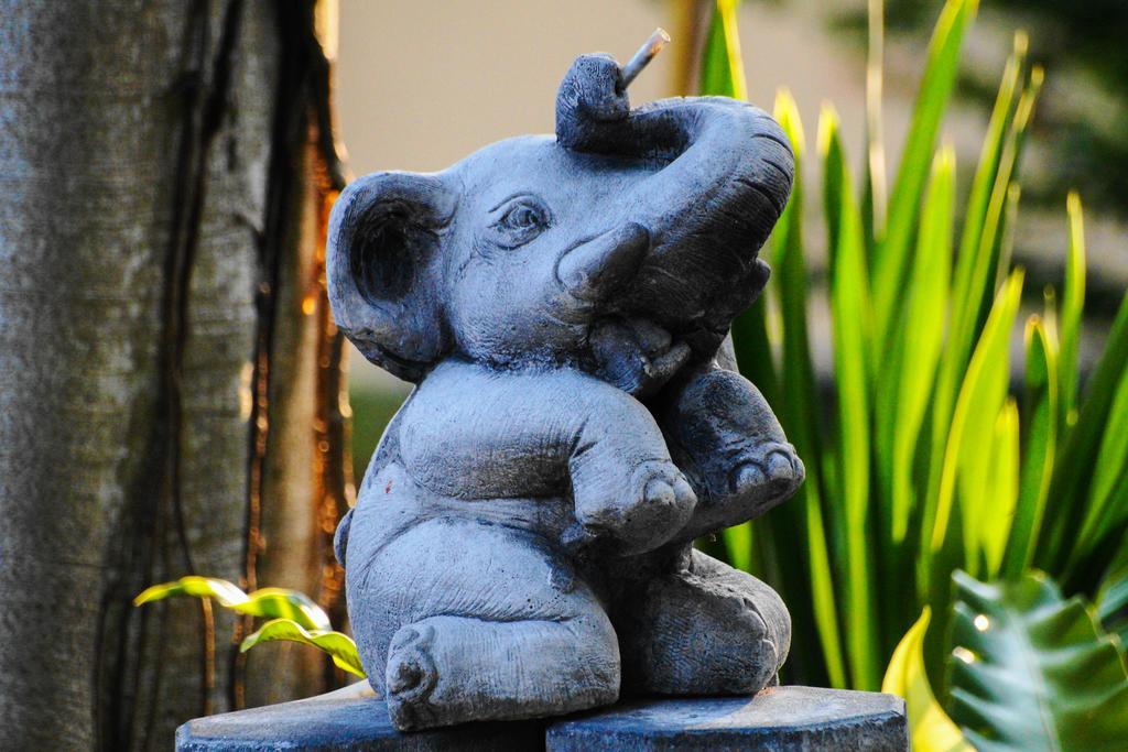 Thai Dee Garden Resort Hat Rin Buitenkant foto